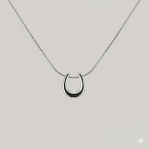 Zilverkleurige titanium hoefijzer ketting